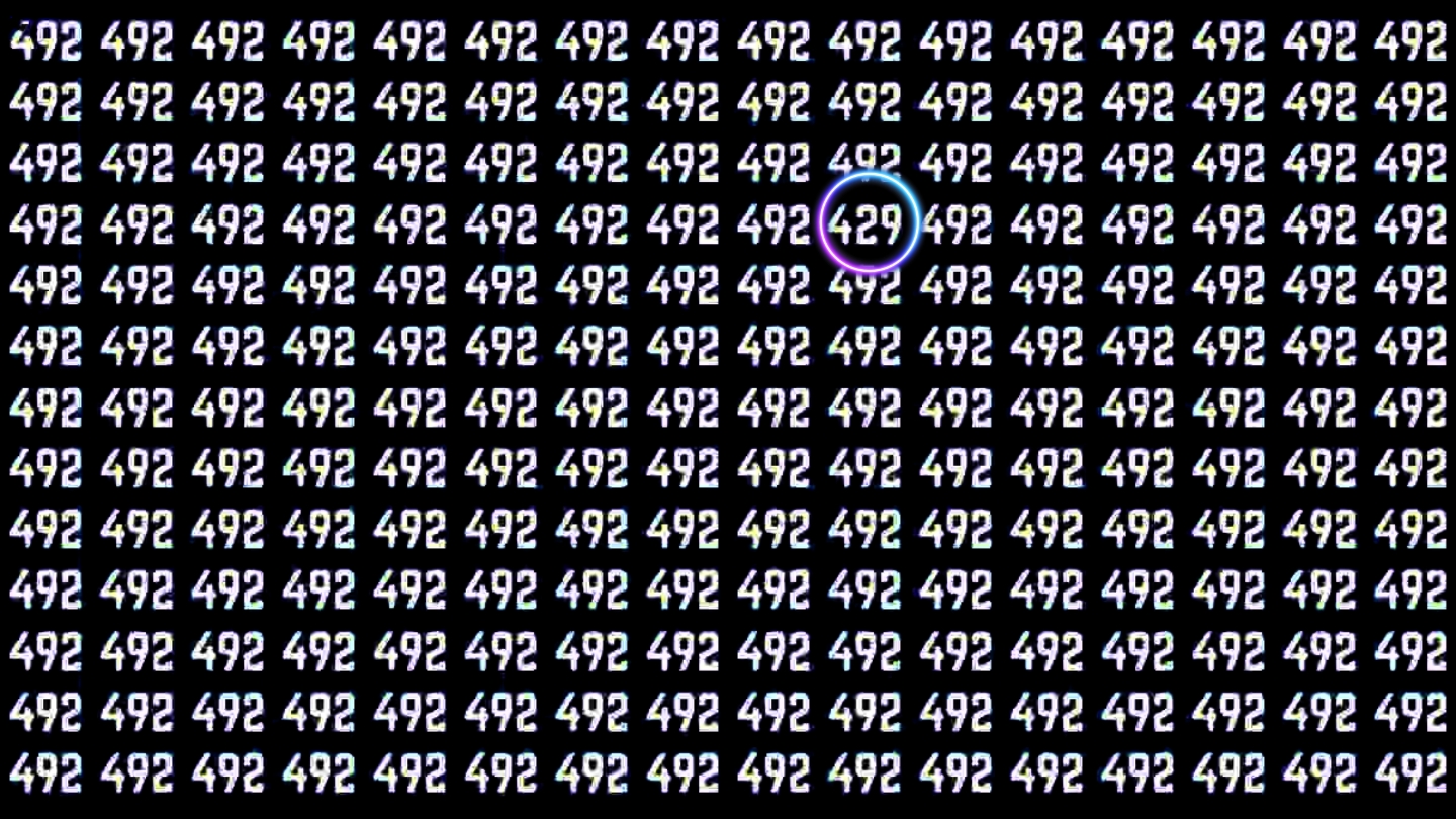 Find Hidden Number 429 