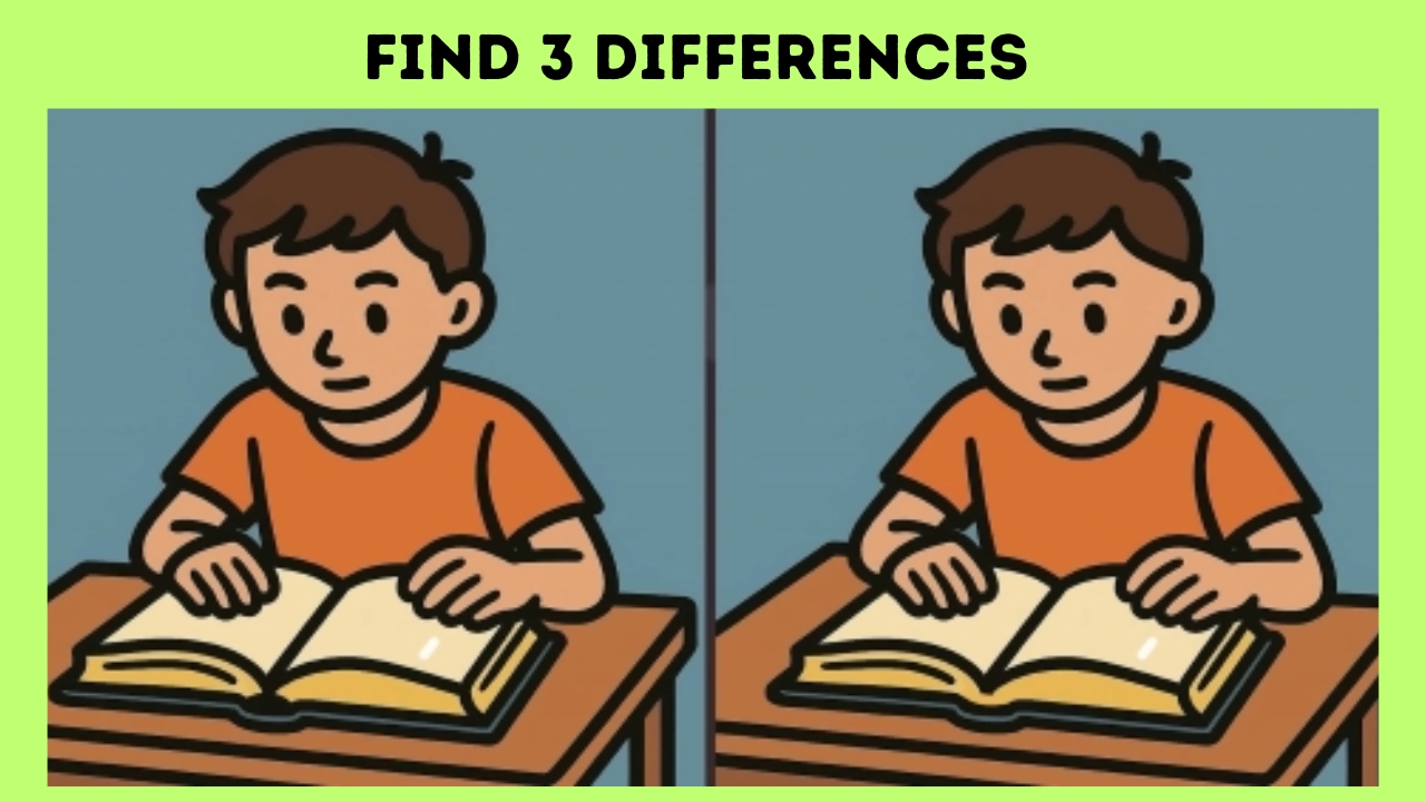 Differences in the Boy Studying Picture