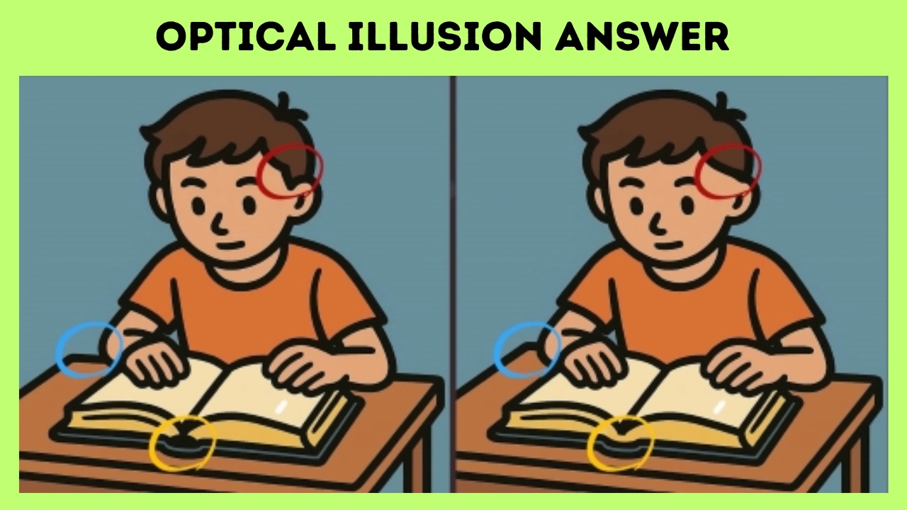 Differences in the Boy Studying Picture